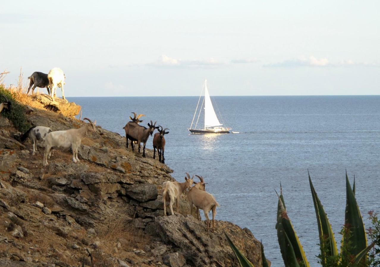 Isola D'Elba Come In Barca, A Un Tuffo Dal Mare Capoliveri  Exterior foto